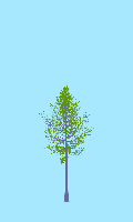 greenshift tree