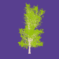 greenshift tree
