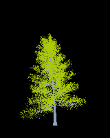 greenshift tree