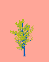 greenshift tree