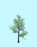 greenshift tree