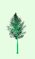 greenshift tree
