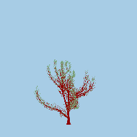 greenshift tree