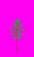 greenshift tree