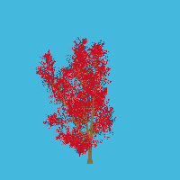 greenshift tree
