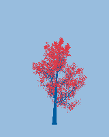 greenshift tree