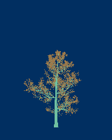 greenshift tree