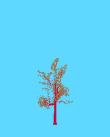 greenshift tree