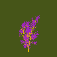 greenshift tree
