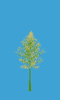 greenshift tree