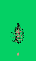 greenshift tree