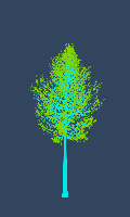 greenshift tree