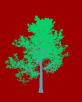 greenshift tree