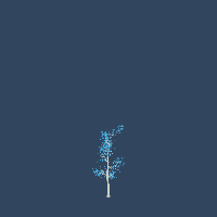 greenshift tree