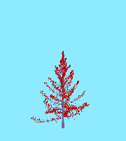 greenshift tree