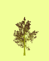 greenshift tree
