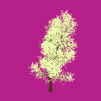 greenshift tree