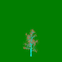 greenshift tree
