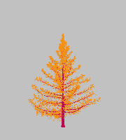 greenshift tree