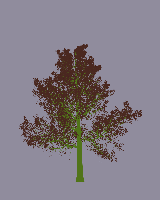 greenshift tree