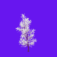 greenshift tree