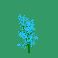 greenshift tree