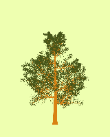 greenshift tree