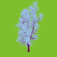 greenshift tree
