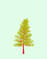 greenshift tree