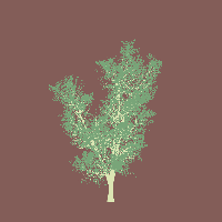greenshift tree