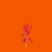 greenshift tree