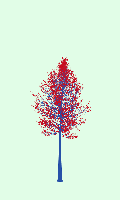 greenshift tree