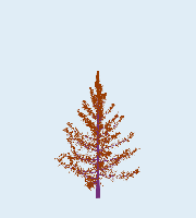 greenshift tree