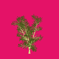 greenshift tree