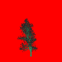 greenshift tree