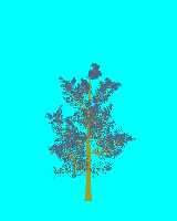 greenshift tree