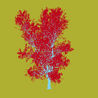 greenshift tree