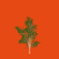 greenshift tree