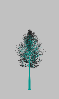 greenshift tree
