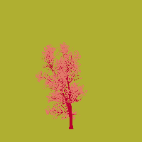 greenshift tree