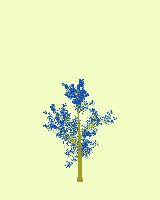 greenshift tree