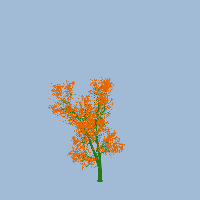 greenshift tree