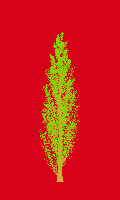 greenshift tree