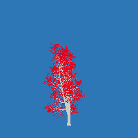 greenshift tree