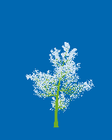 greenshift tree