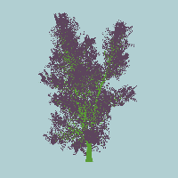 greenshift tree