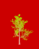 greenshift tree