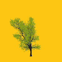 greenshift tree