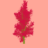 greenshift tree