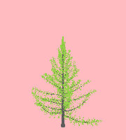 greenshift tree